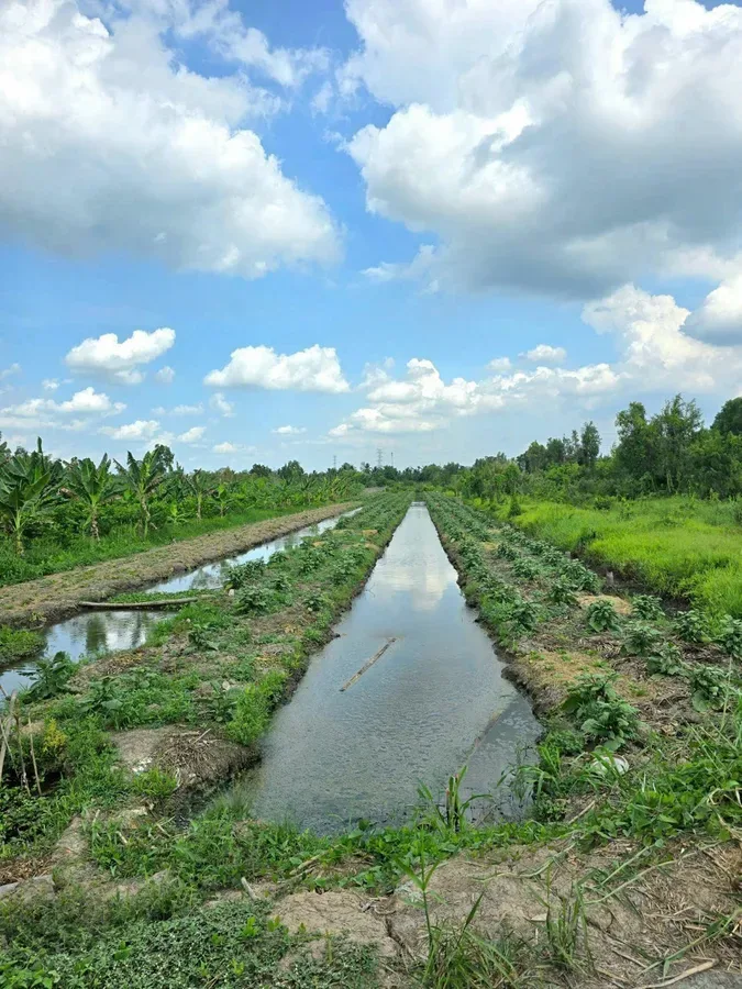 BĐS Cần Thơ - ảnh 2 | Cantho.Land #10475